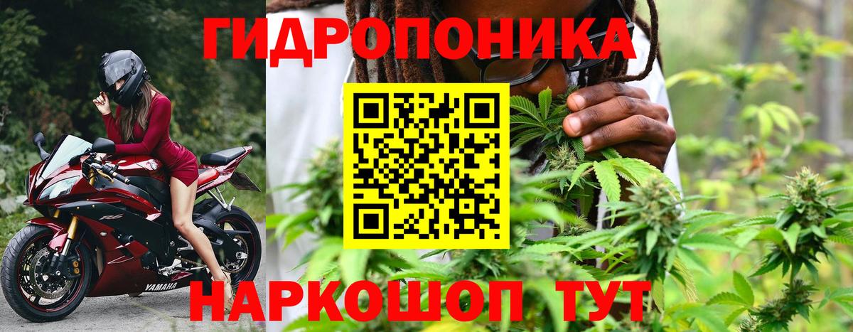 Шишки марихуана Amnesia Вольск